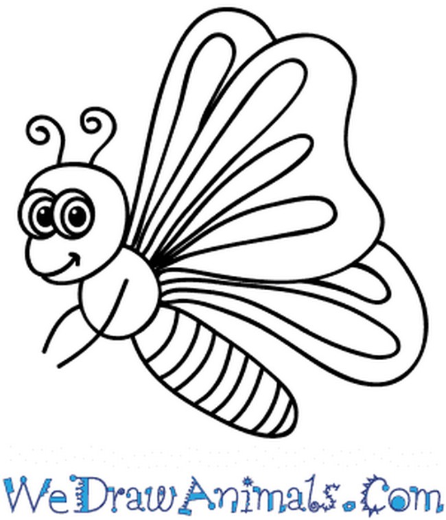 Cartoon Butterfly Drawing