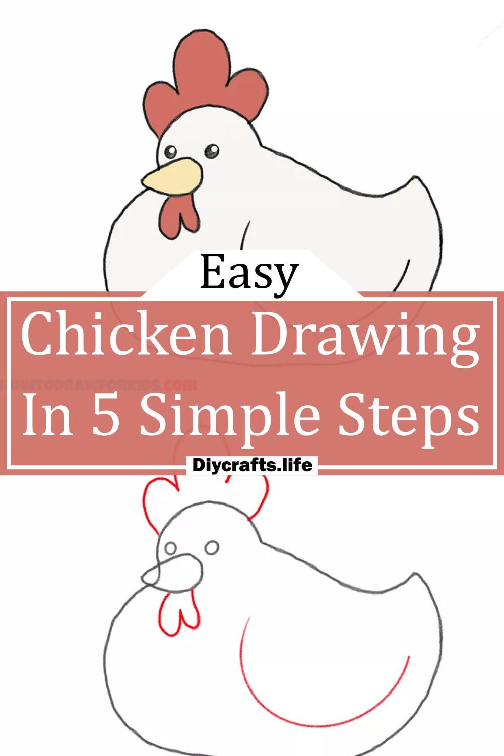 Chicken Drawing In 5 Simple Steps