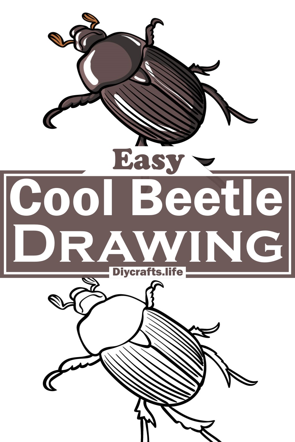 Cool Beetle Drawing
