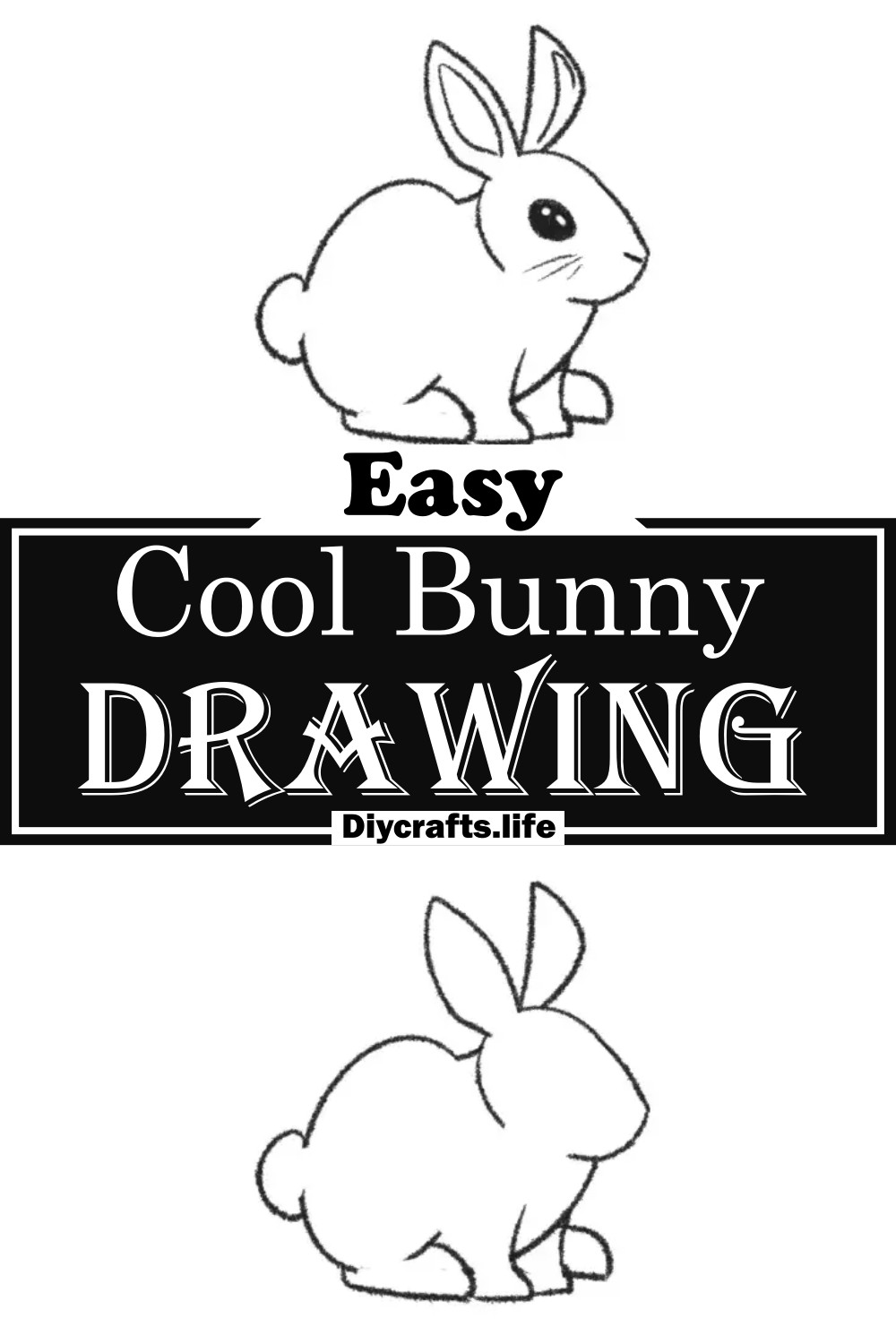 Cool Bunny Drawing