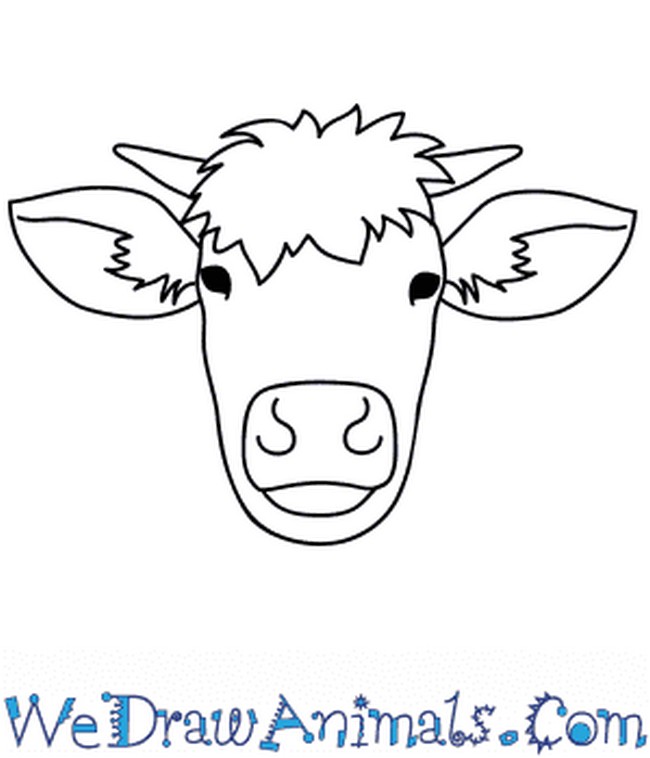 Cool Cow Head Drawing