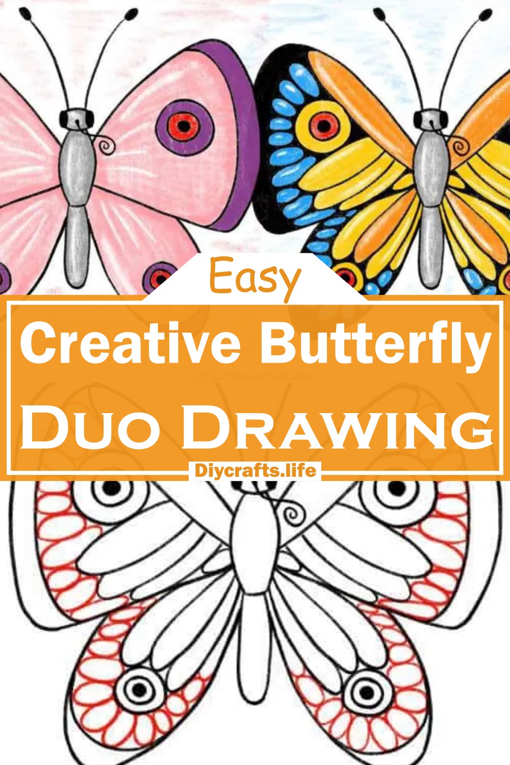Creative Butterfly Duo Drawing