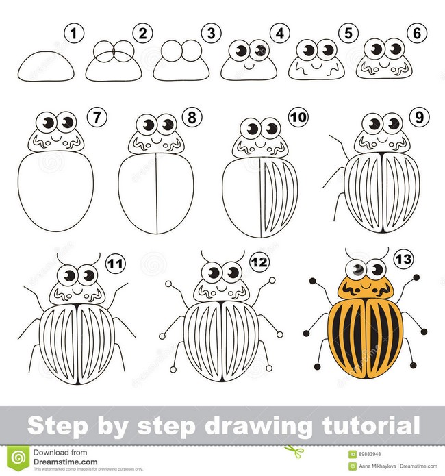 Cute Bug Drawing