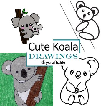 Cute Koala Drawings 1