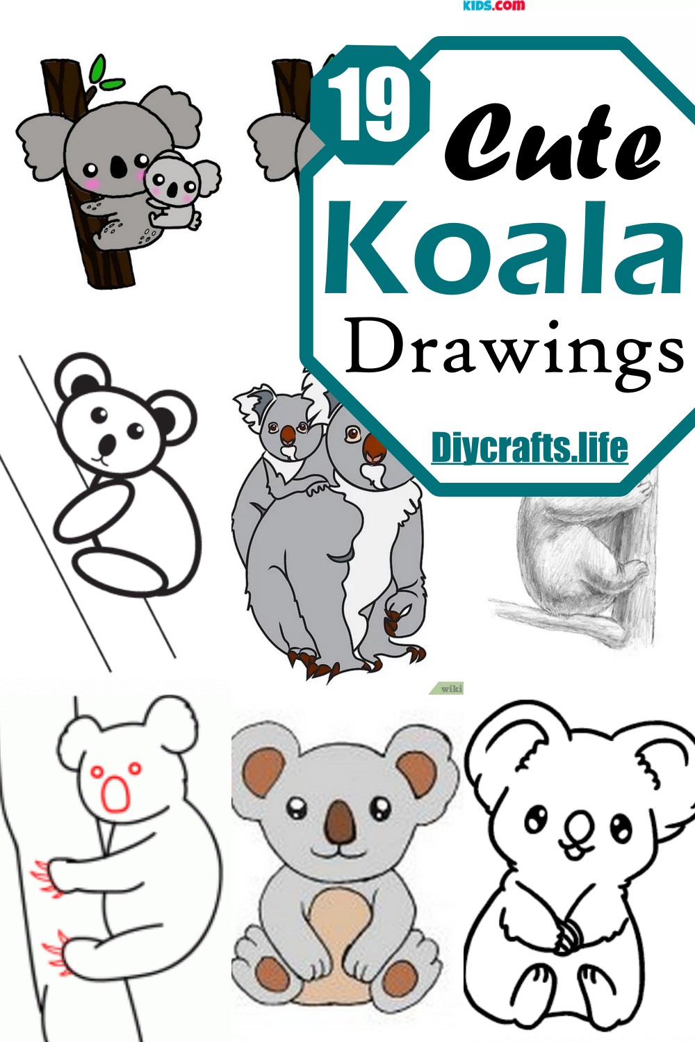 Cute Koala Drawings