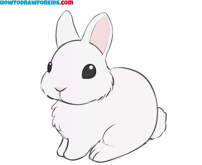 Easy Bunny Drawings