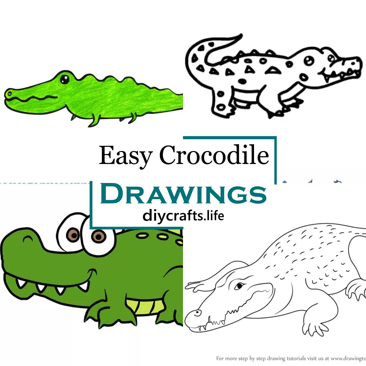 alligator drawing kids