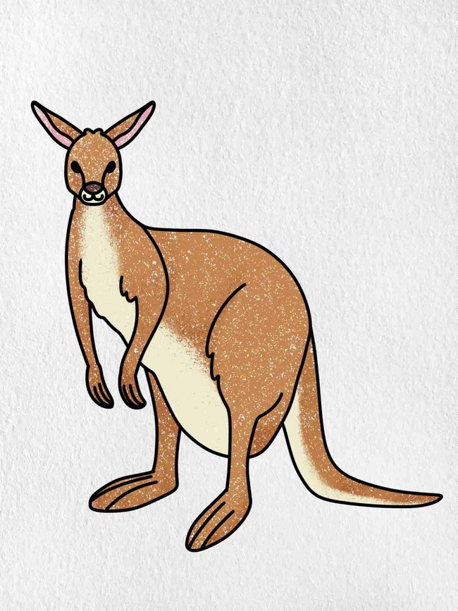 Easy Draw A Kangaroo
