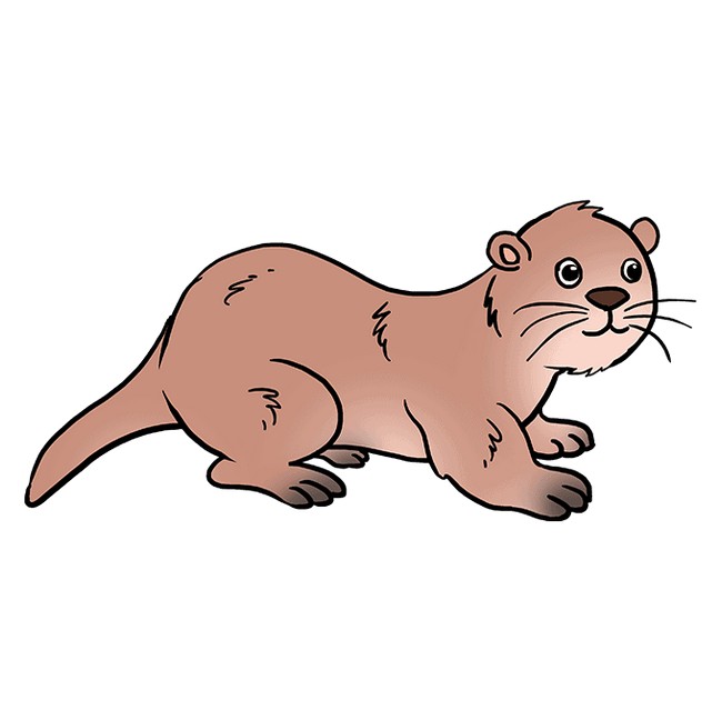 Easy Draw An Otter