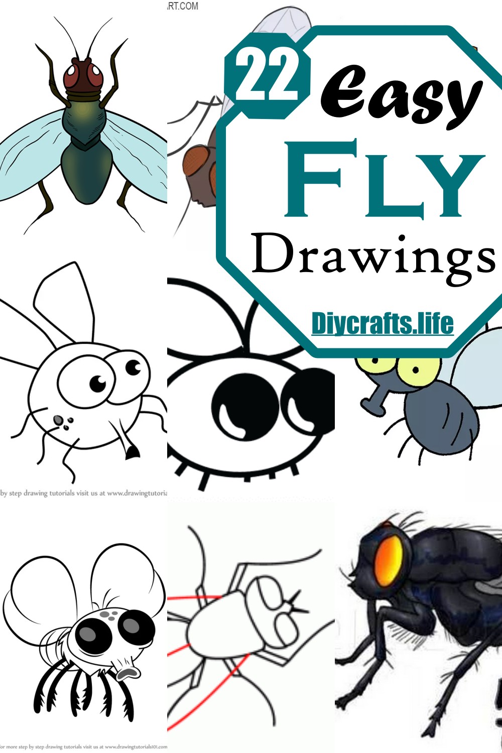 Easy Fly Drawings