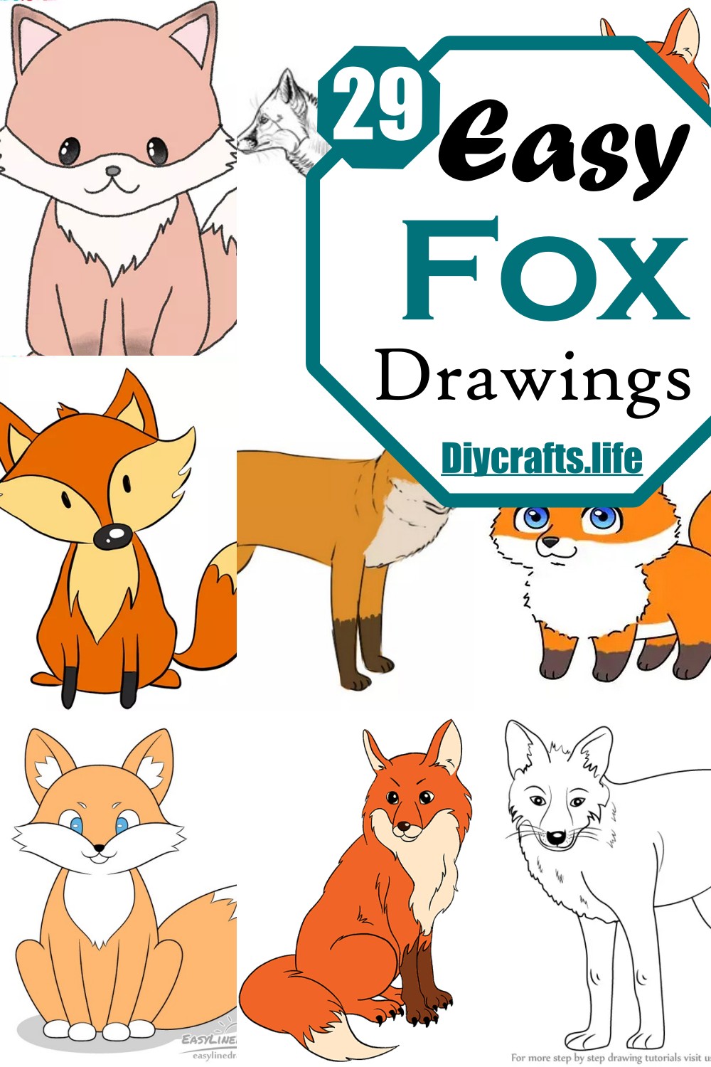 Easy Fox Drawings