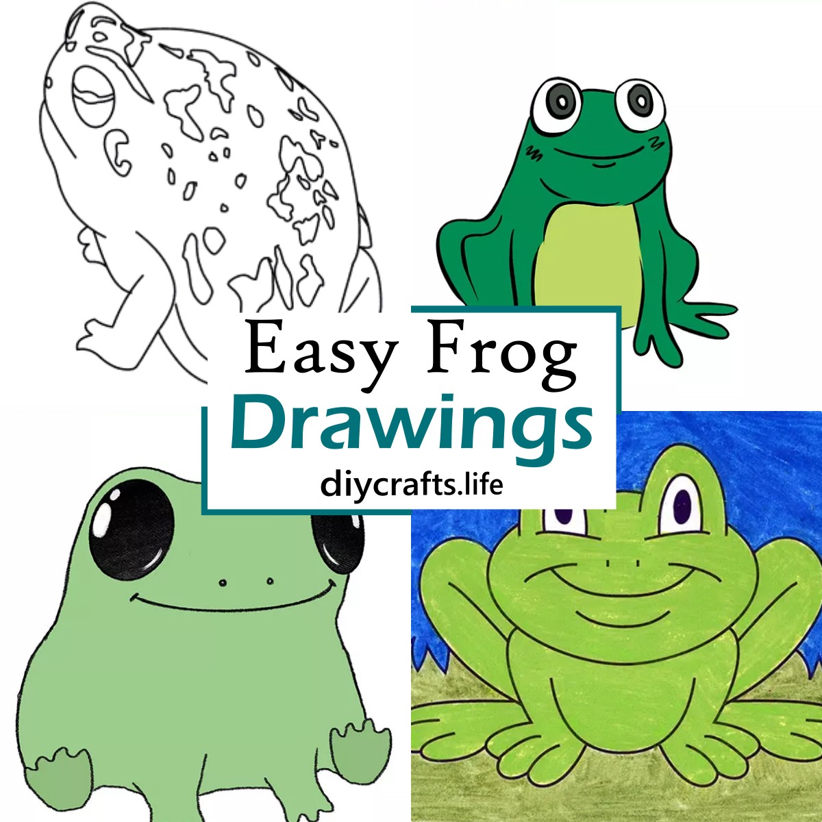 How To Draw a Frog: 10 Easy Drawing Projects-saigonsouth.com.vn