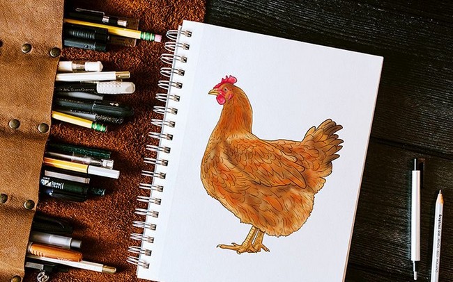 Easy How To Draw A Chicken
