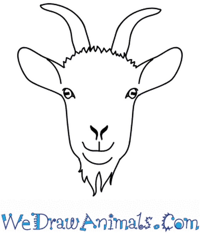 Easy How To Draw A Goat Face