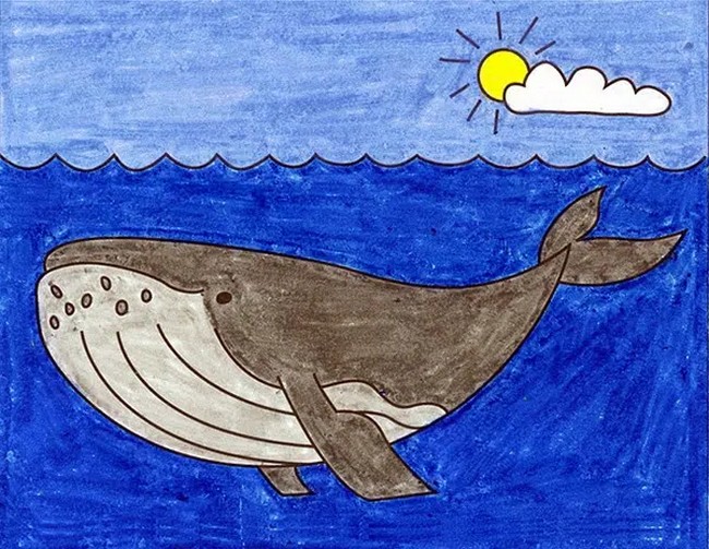 How to Draw a Whale — 3 Step by Step Tutorial