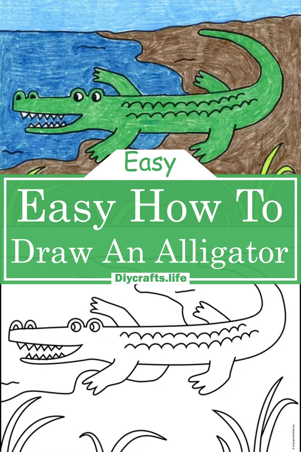 Easy How To Draw An Alligator