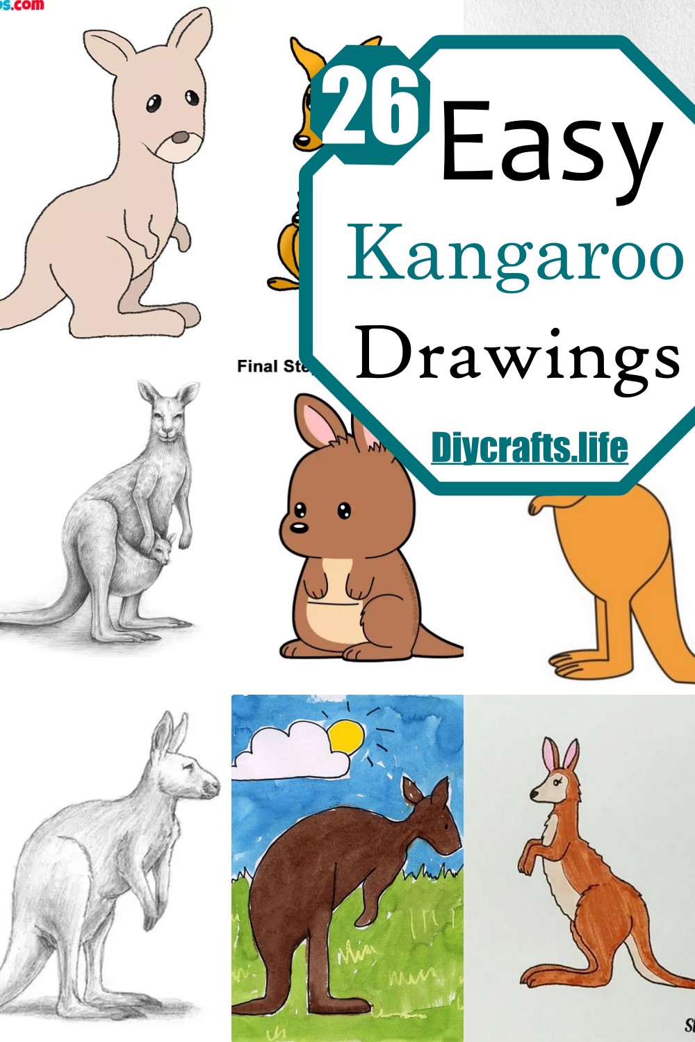 Easy Kangaroo Drawings