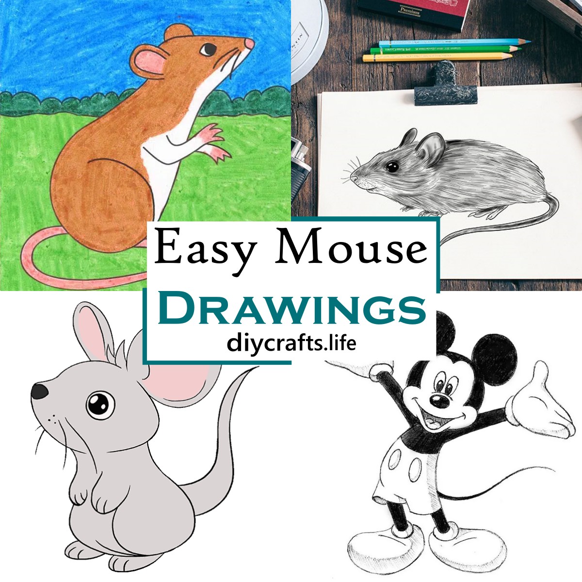 23 Easy Mouse Drawings - Step By Step Guide - DIY Crafts