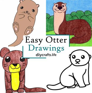 Easy Otter Drawings 1