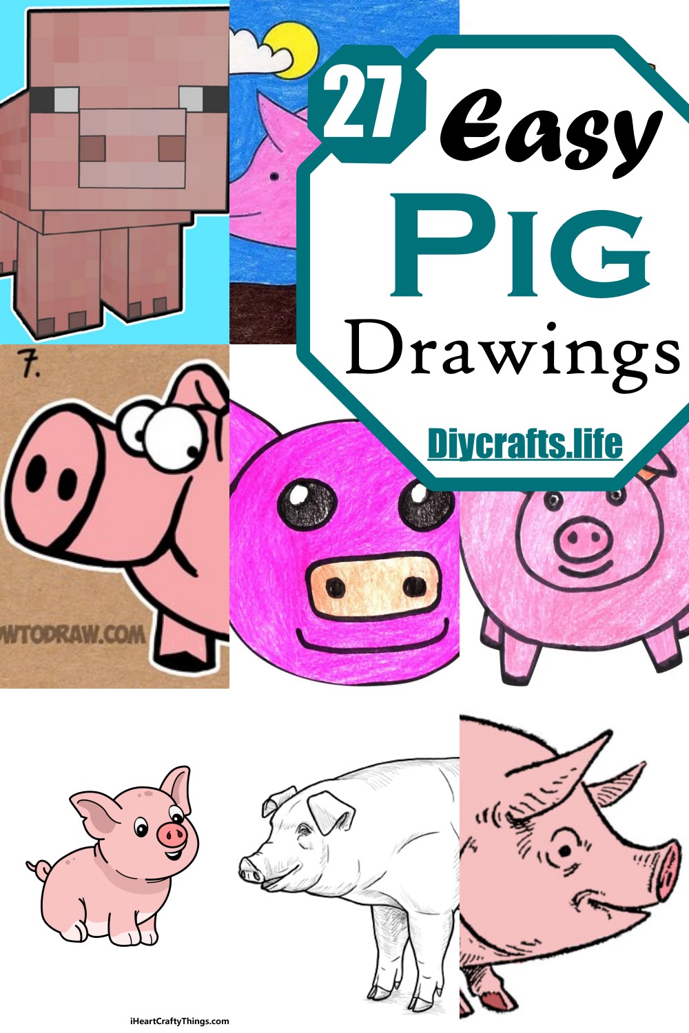 Easy Pig Drawings