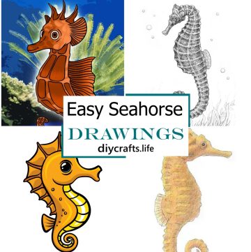 Easy Seahorse Drawing 1