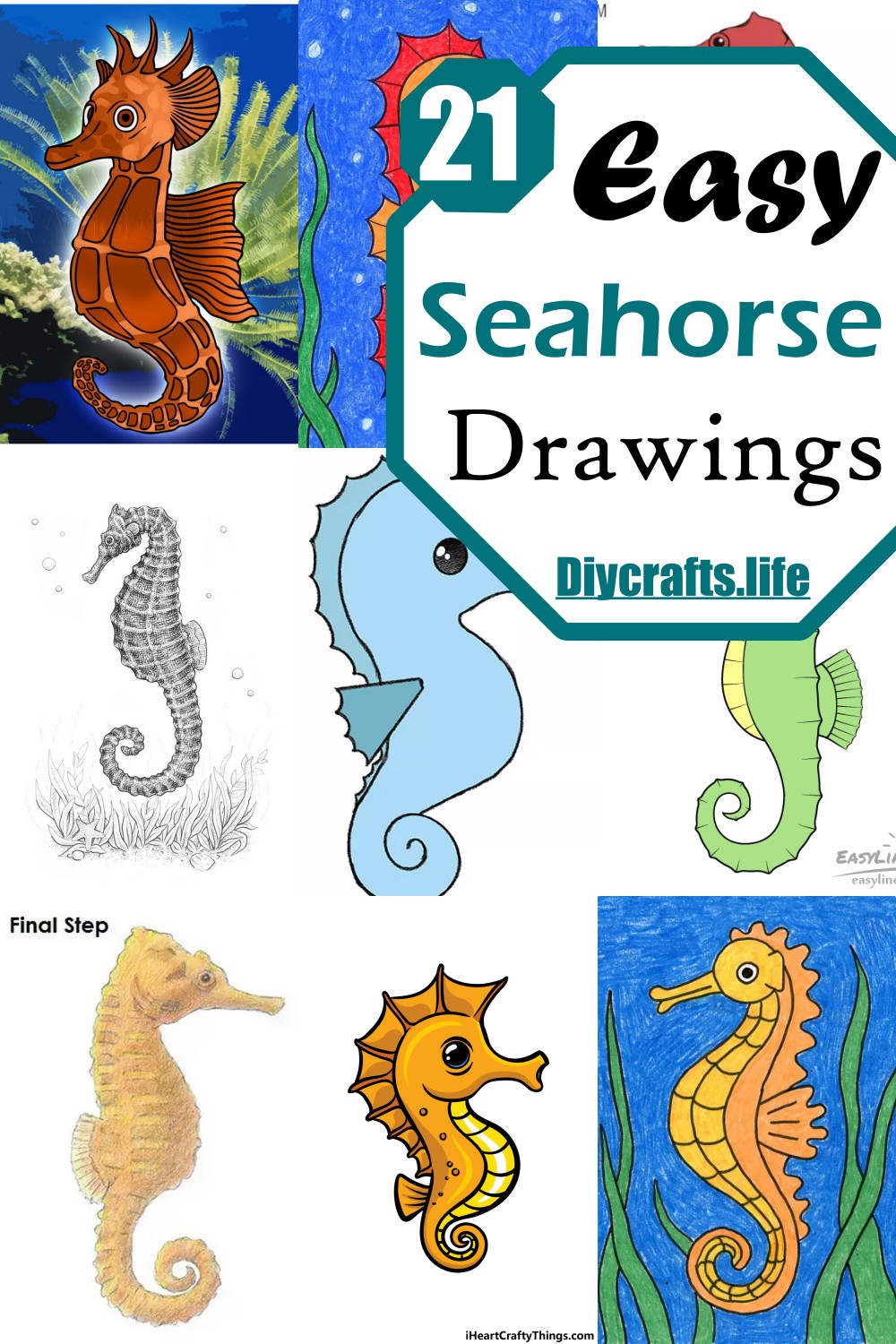 Easy Seahorse Drawing