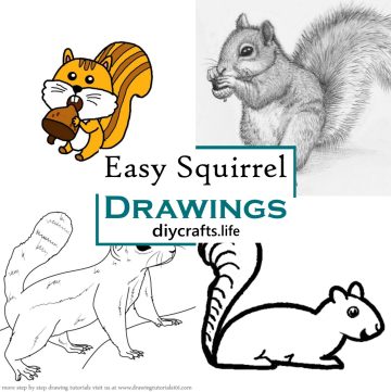 Easy Squirrel Drawings 1