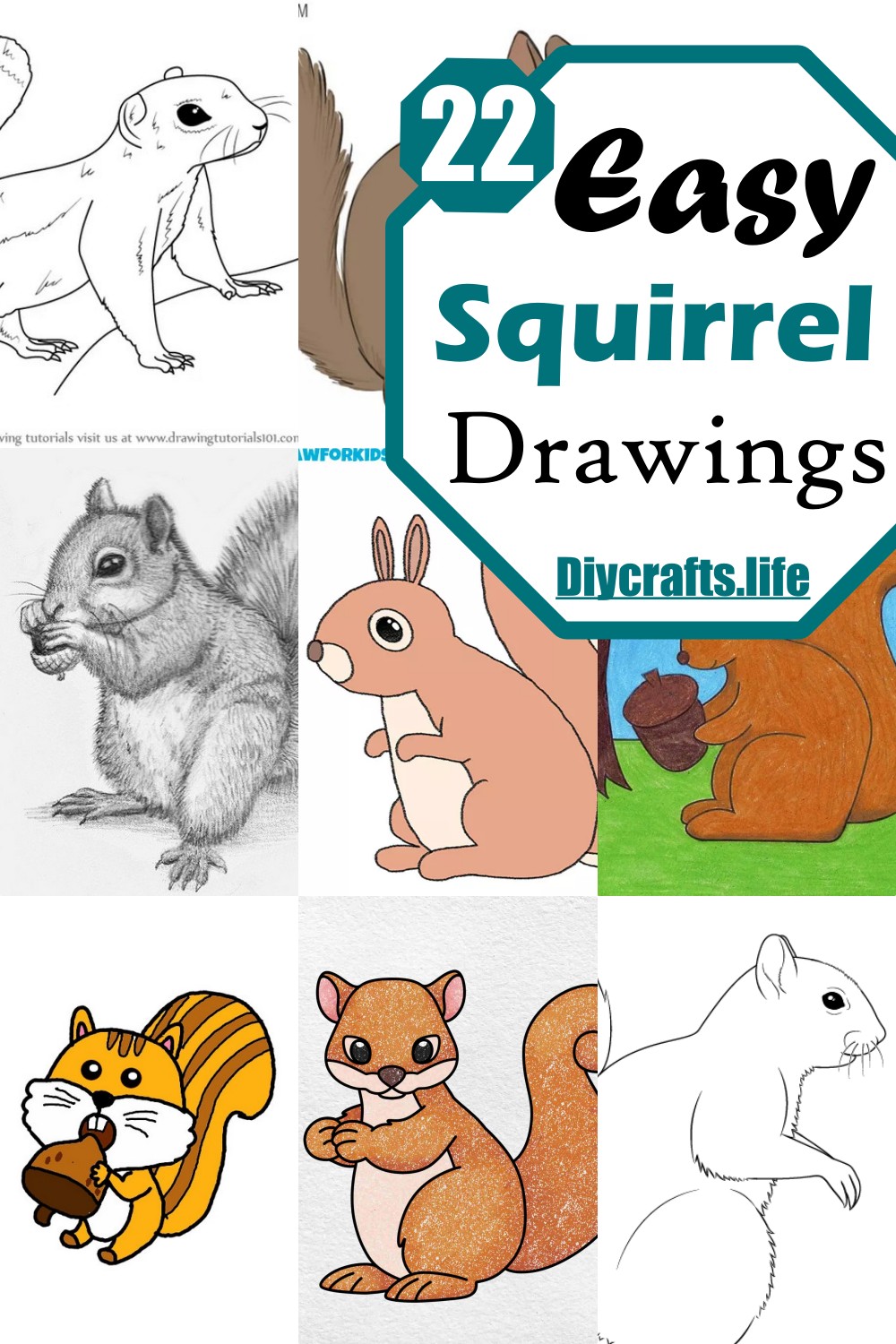 Easy Squirrel Drawings