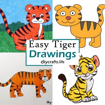 Easy Tiger Drawings
