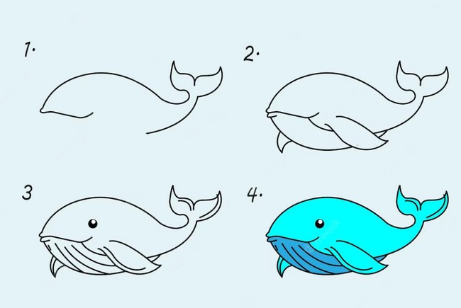 Easy Whale Drawing
