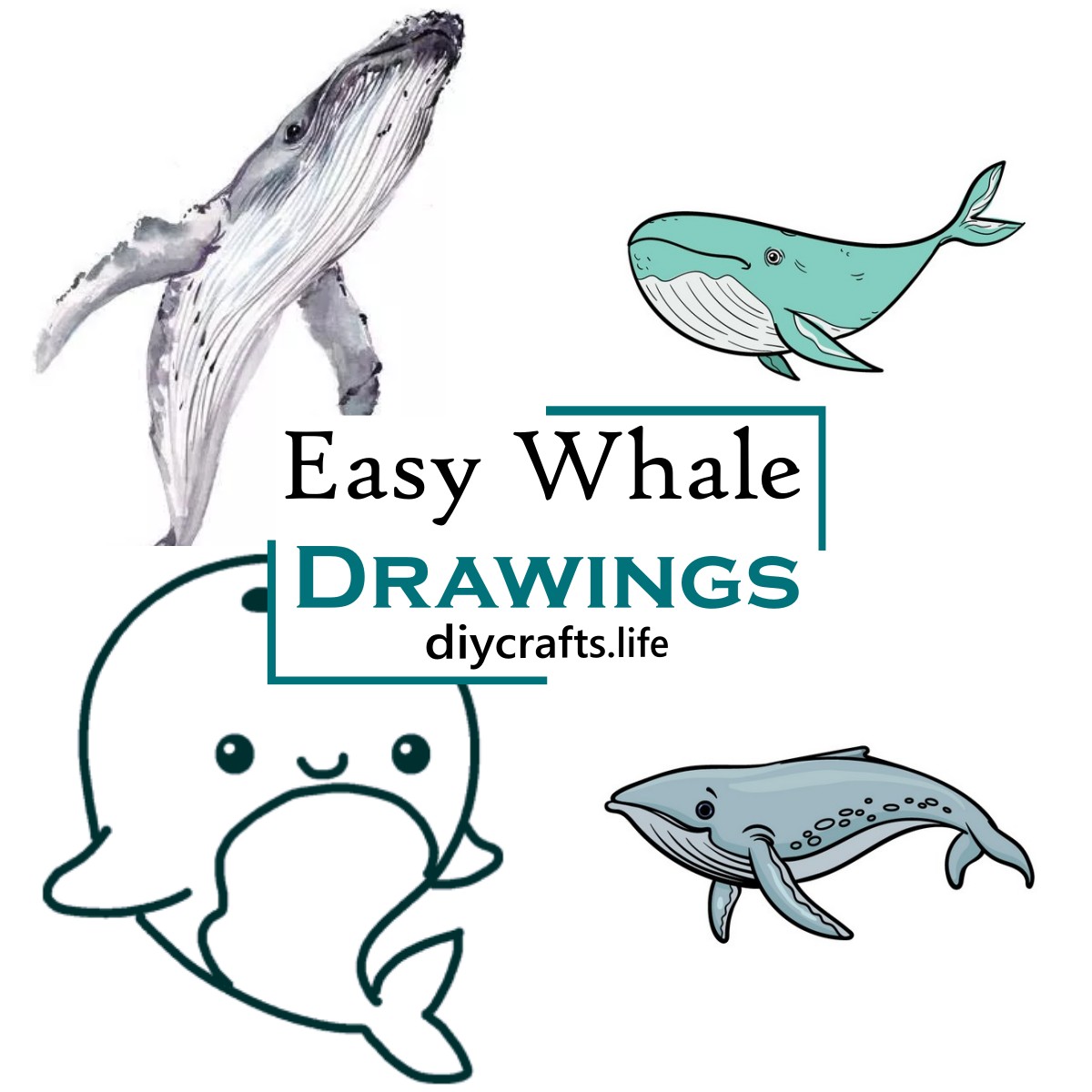 How to Draw a Whale? - Step by Step Drawing Guide for Kids