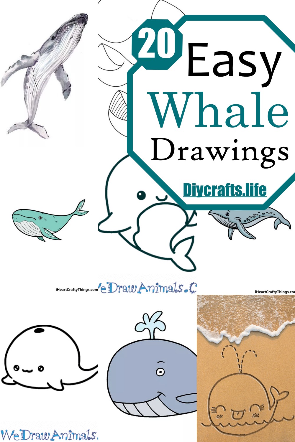Blue whale coloring pages drawing for kids Vector Image