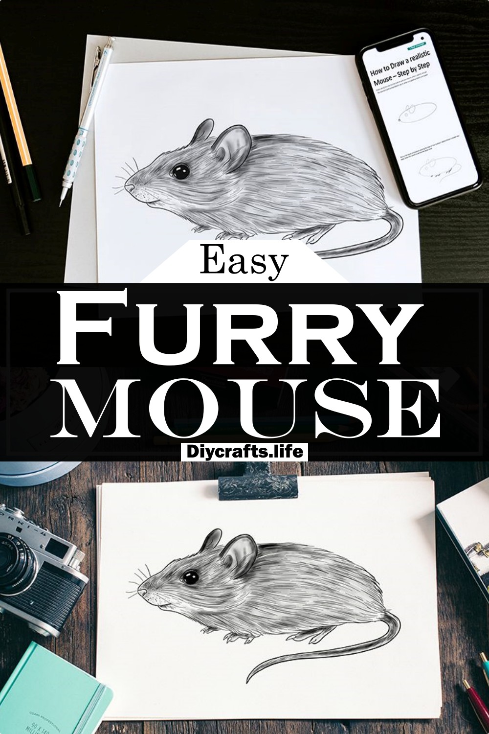 Furry Mouse
