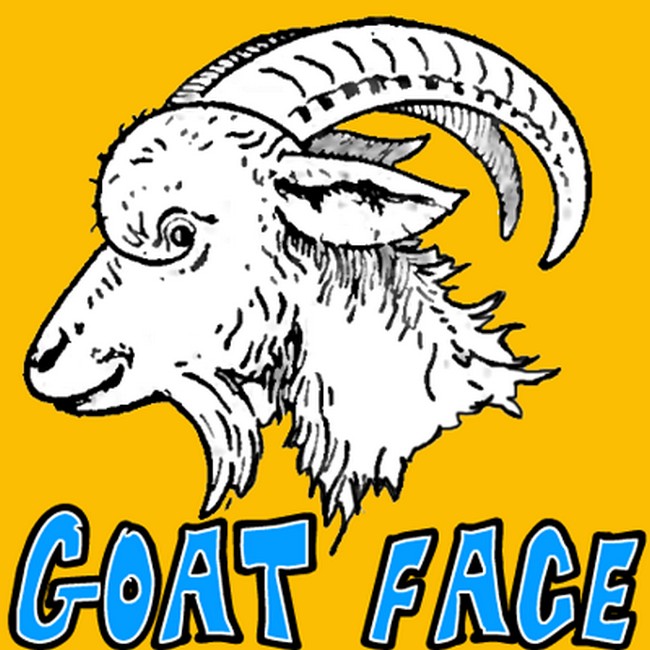 Goat Face With Easy Step-by-Step Tutorial