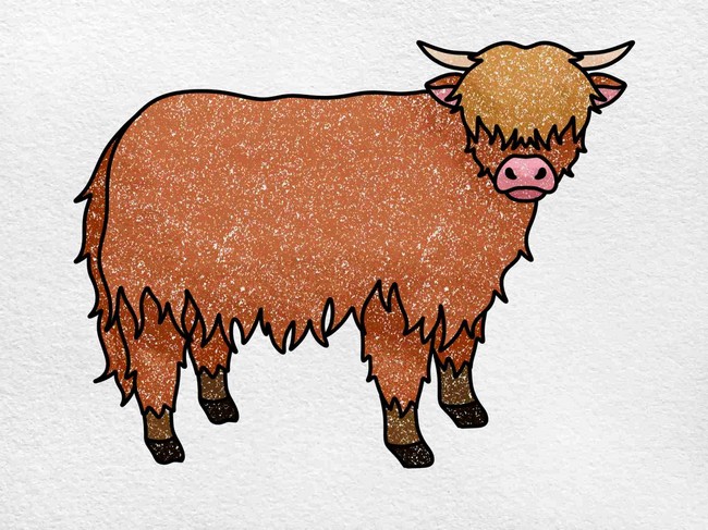 Highland Cow Drawing