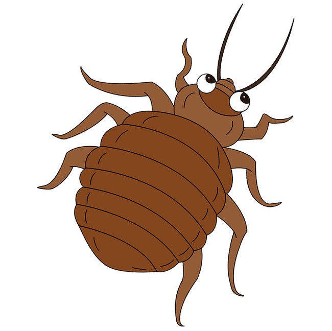 How To Draw A Bed Bug