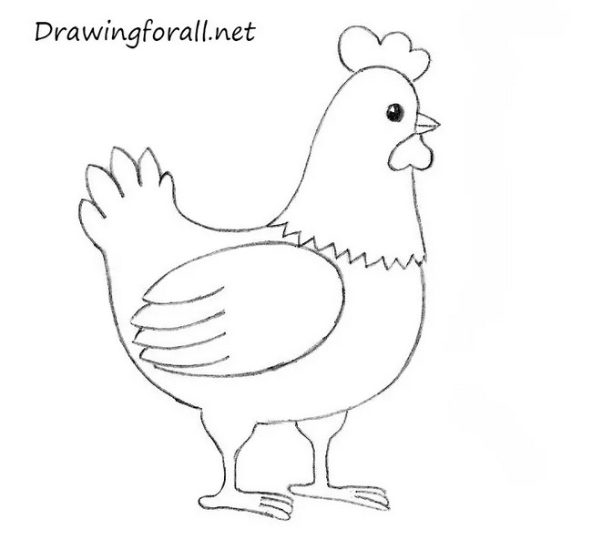 How To Draw A Chicken For Kids 1