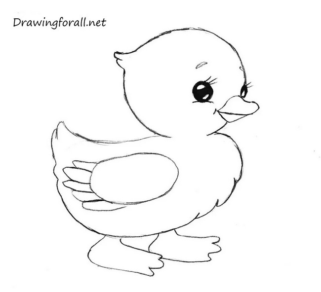 How To Draw A Chicken
