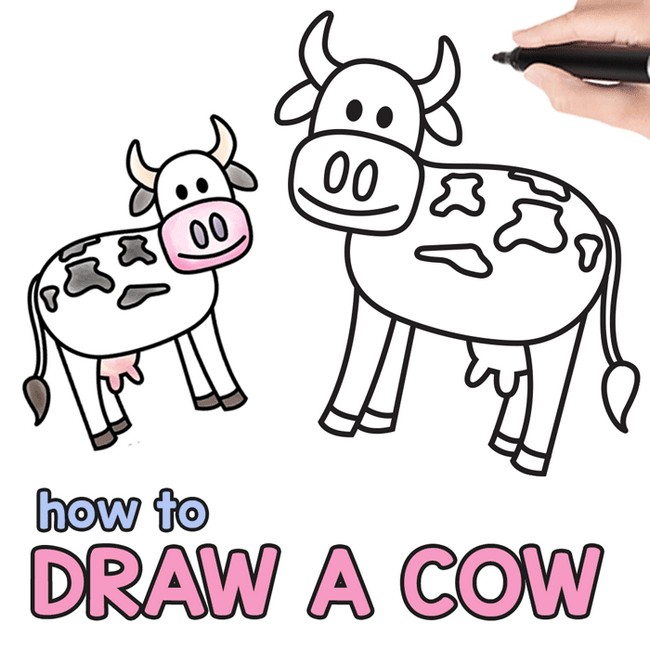 How To Draw A Cow 1