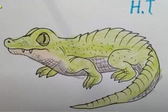 How To Draw A Crocodile For Kids A Step-by-step Guide