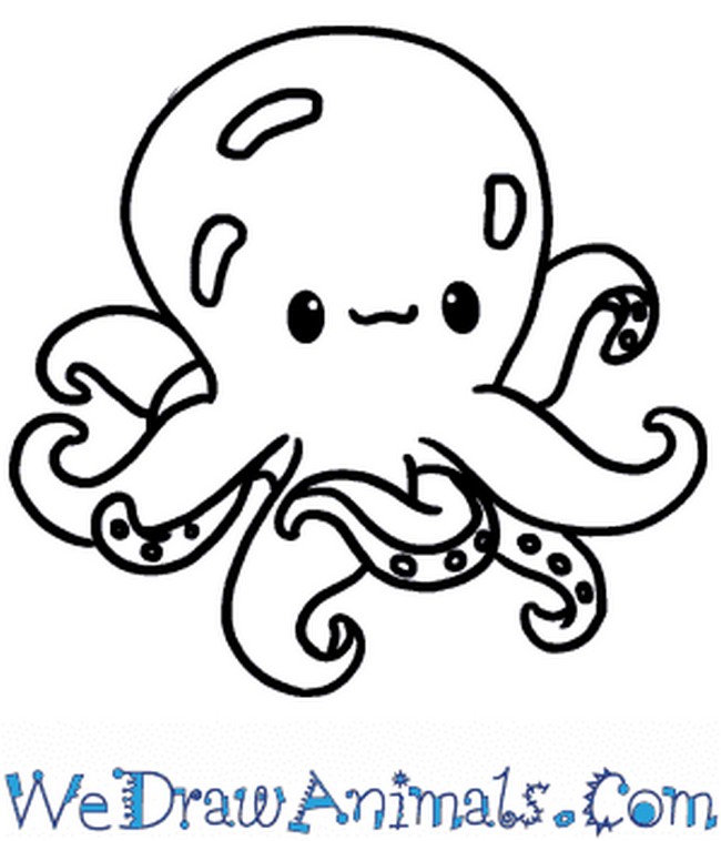 How To Draw A Cute Octopus