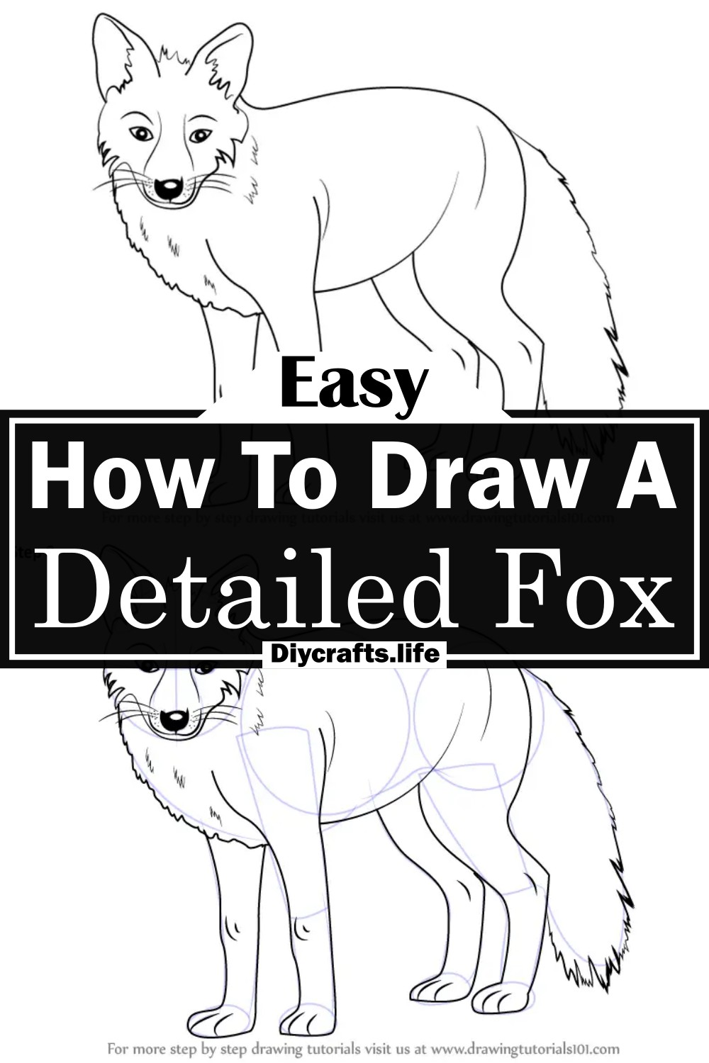 How To Draw A Detailed Fox