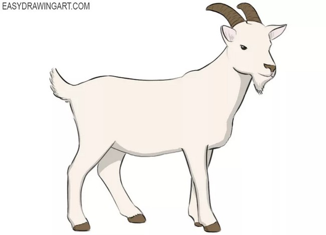 How To Draw A Goat