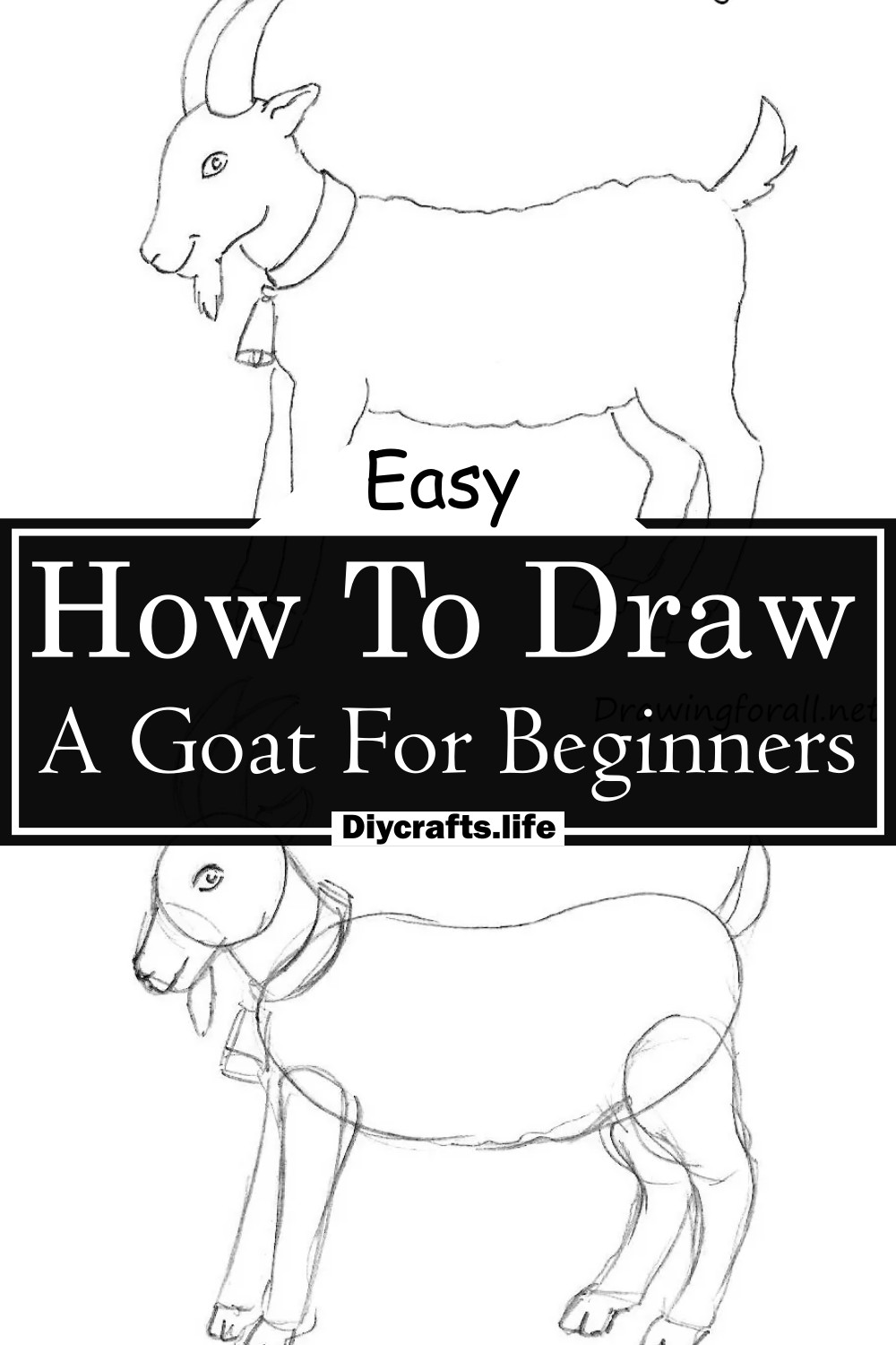 How To Draw A Goat For Beginners