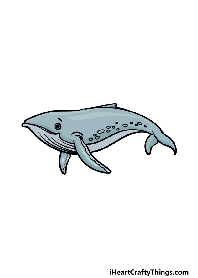 How To Draw A Humpback Whale
