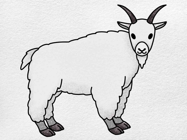 How To Draw A Mountain Goat