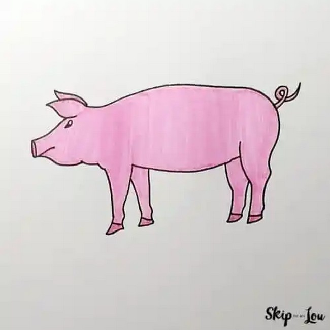 How To Draw A Pig