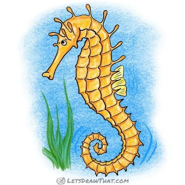 How To Draw A Seahorse With An Awesome Body Pattern