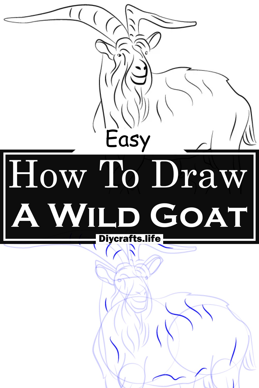 How To Draw A Wild Goat