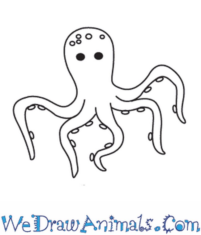 How To Draw An Octopus And Tentacles